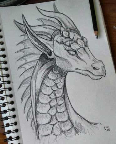 an easy dragon head drawing reference
