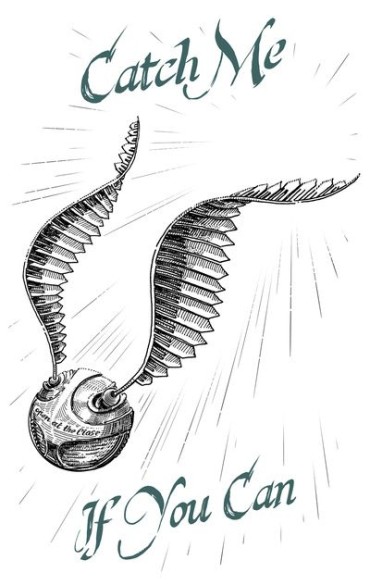 A cool golden snitch drawing